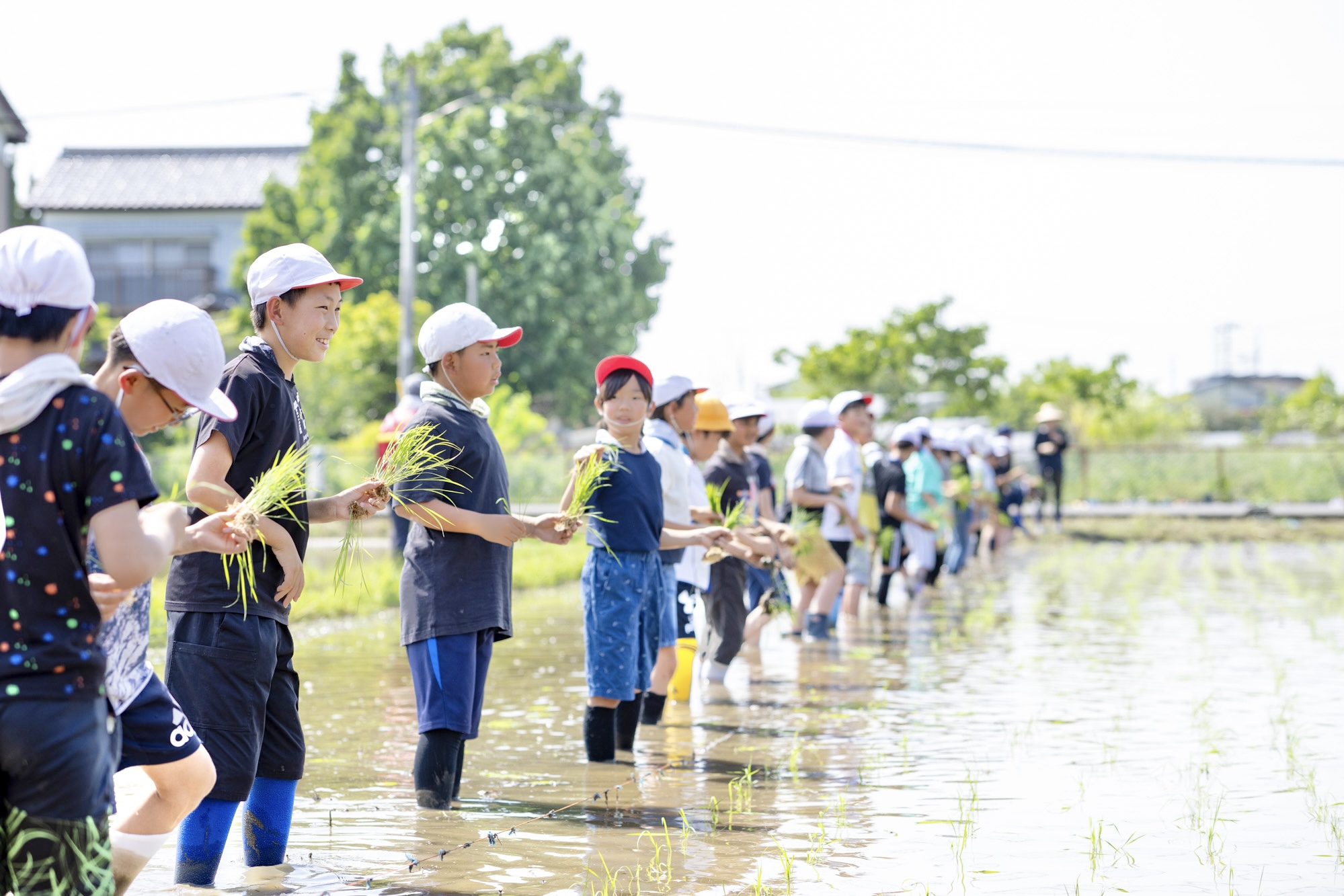 横一列に並び、田植え体験の準備万端