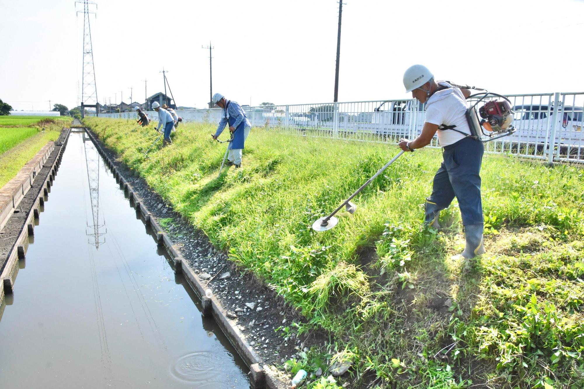 水路の法面を草刈りする様子