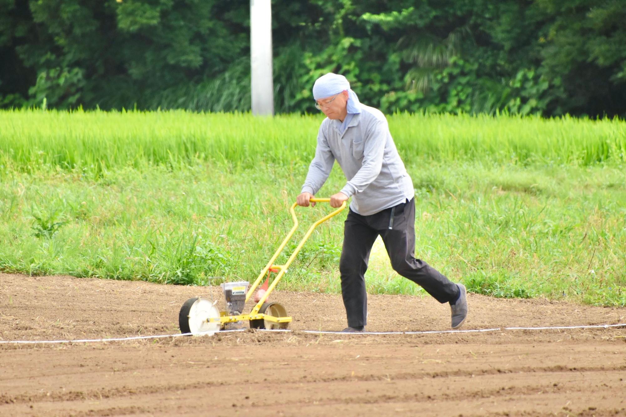 手押し車で種をまく様子
