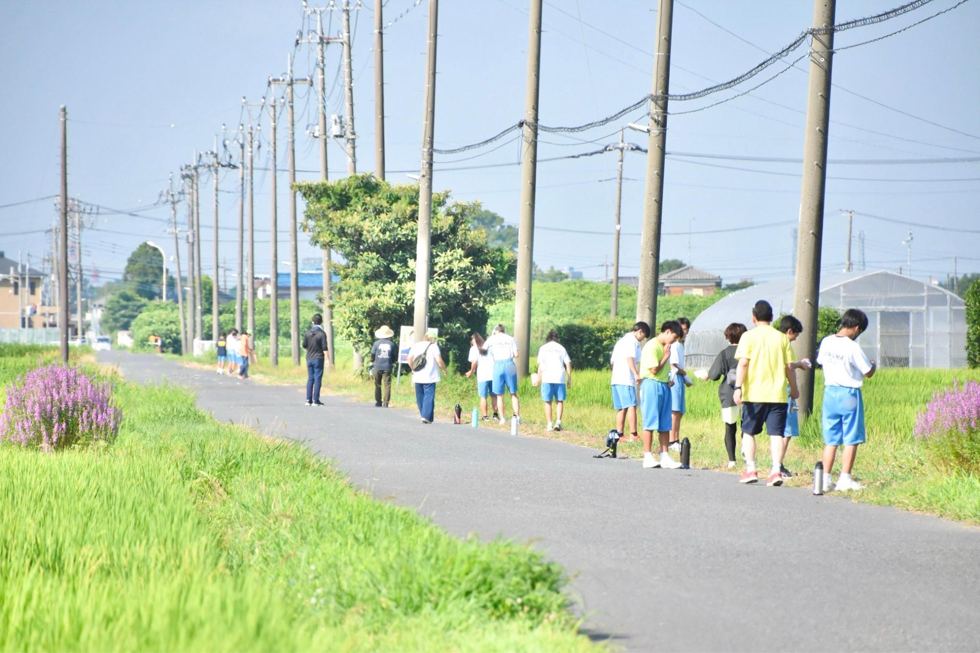 秋には駅伝大会のコースになる場所へ種まき