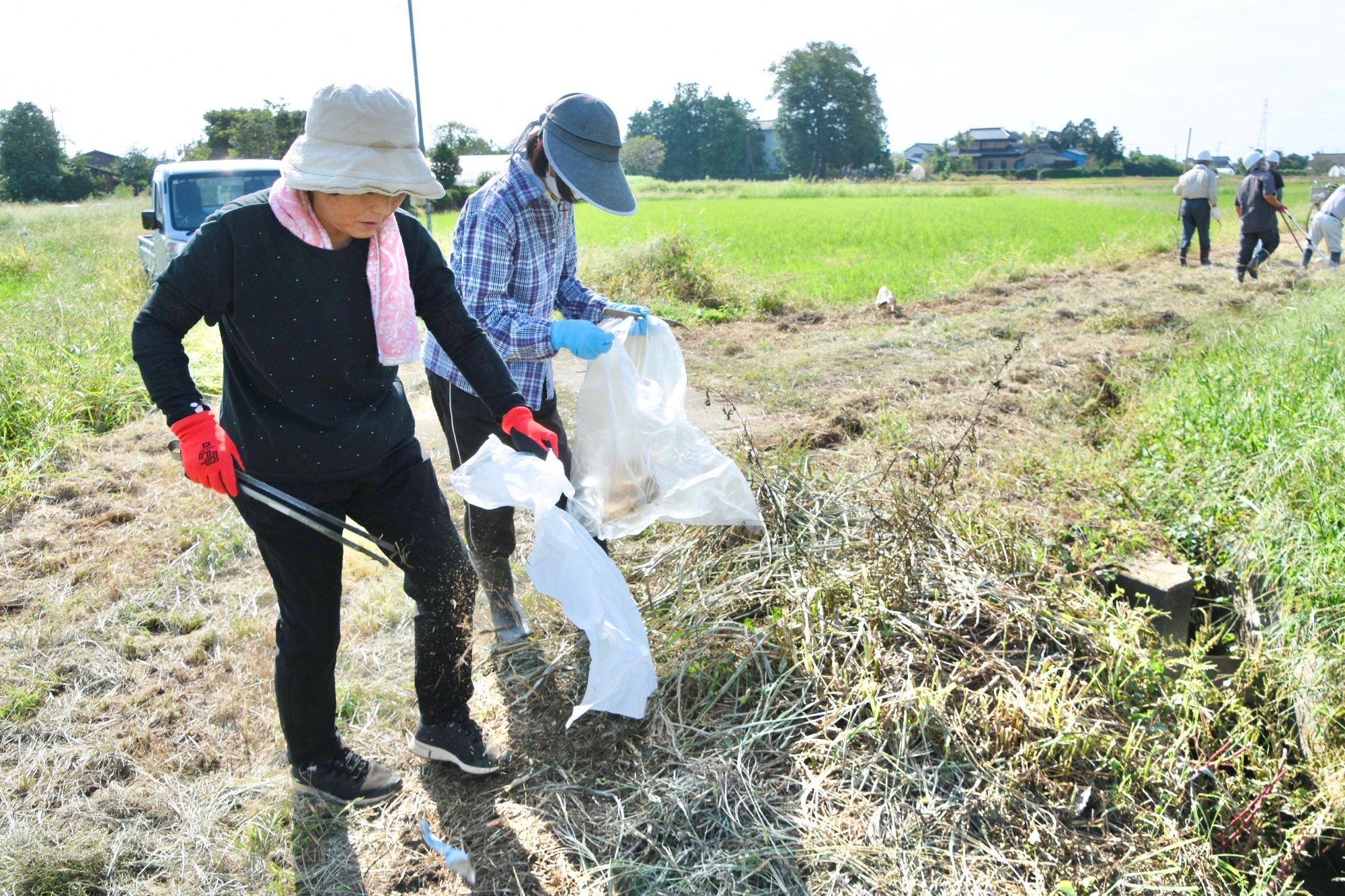 ゴミ拾いの様子