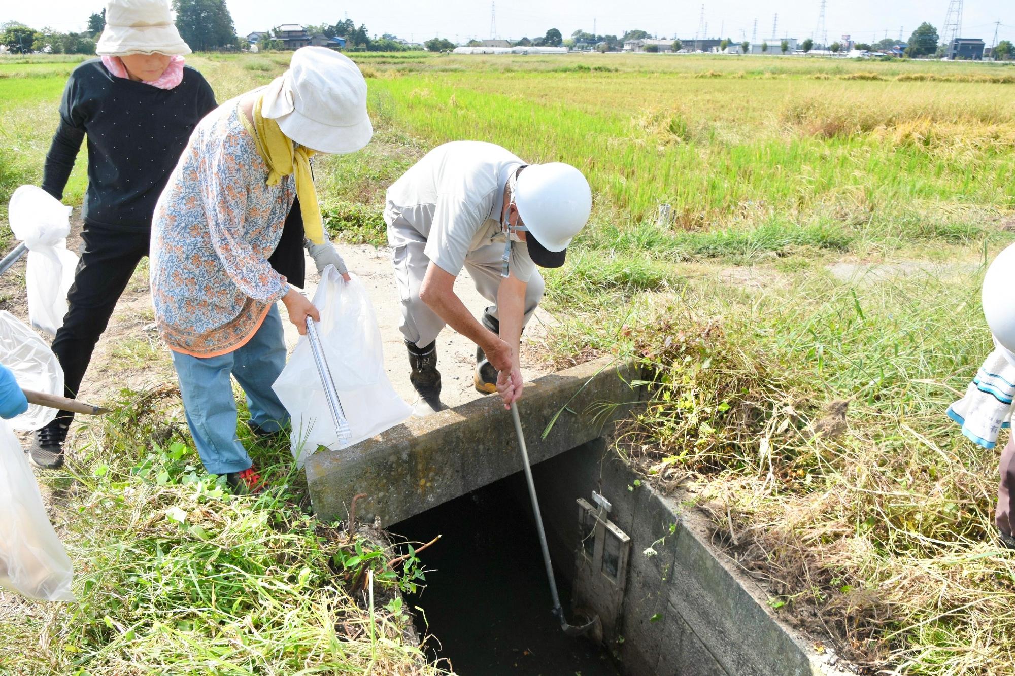 水路やゲートなどの点検