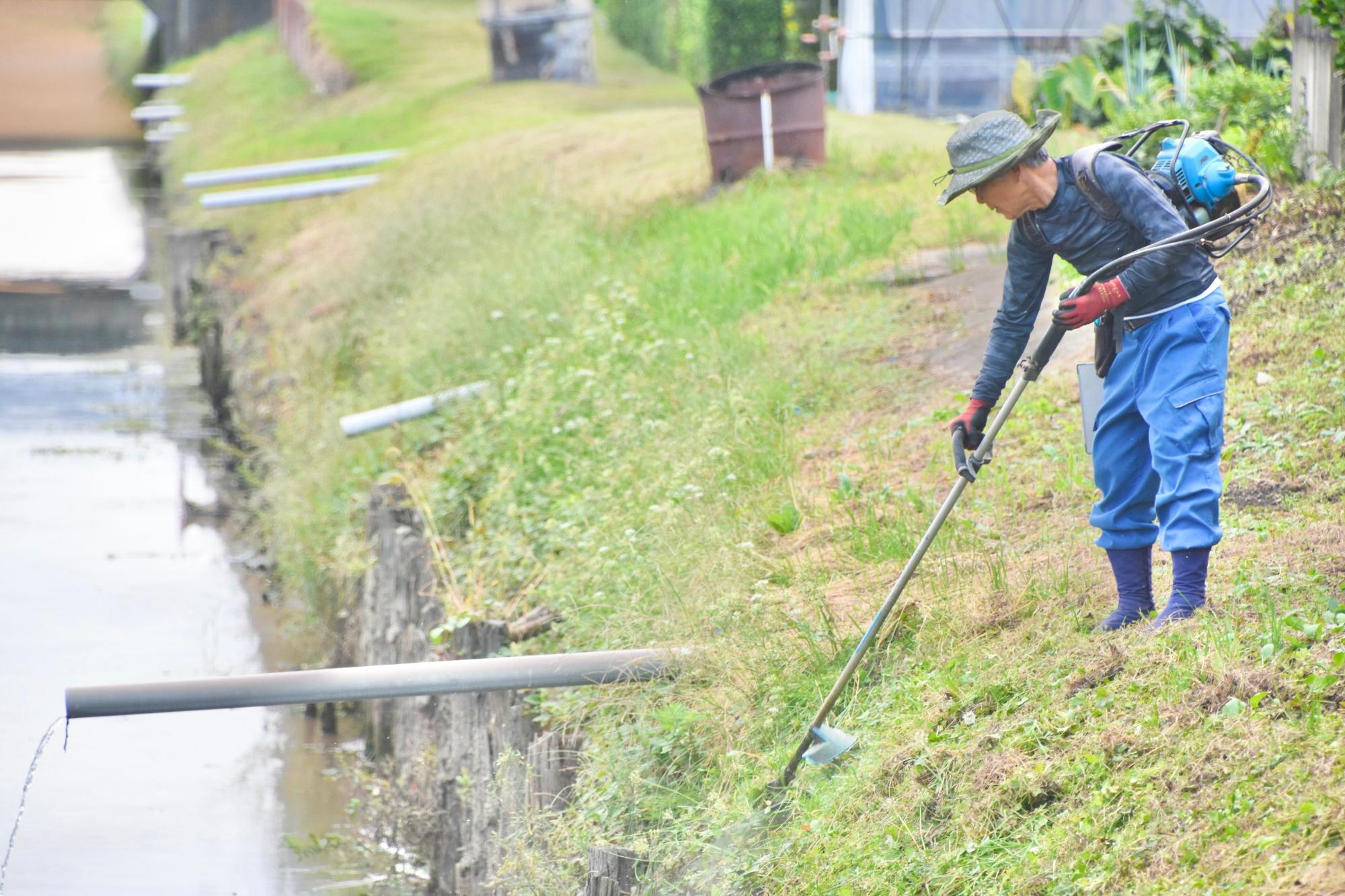 足下に気をつけながら草刈りを進める