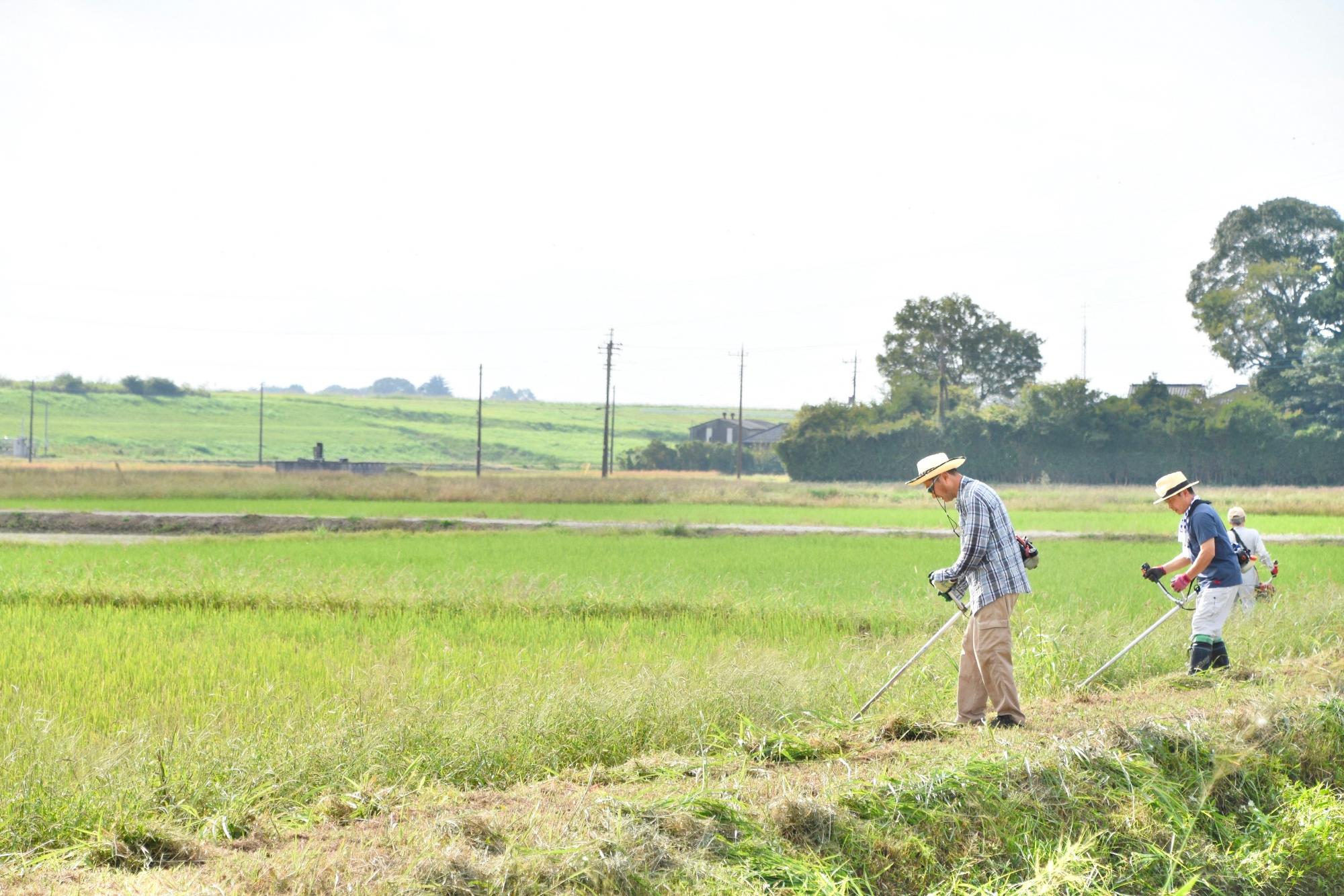 一面に広がる農地と草刈りをする構成員