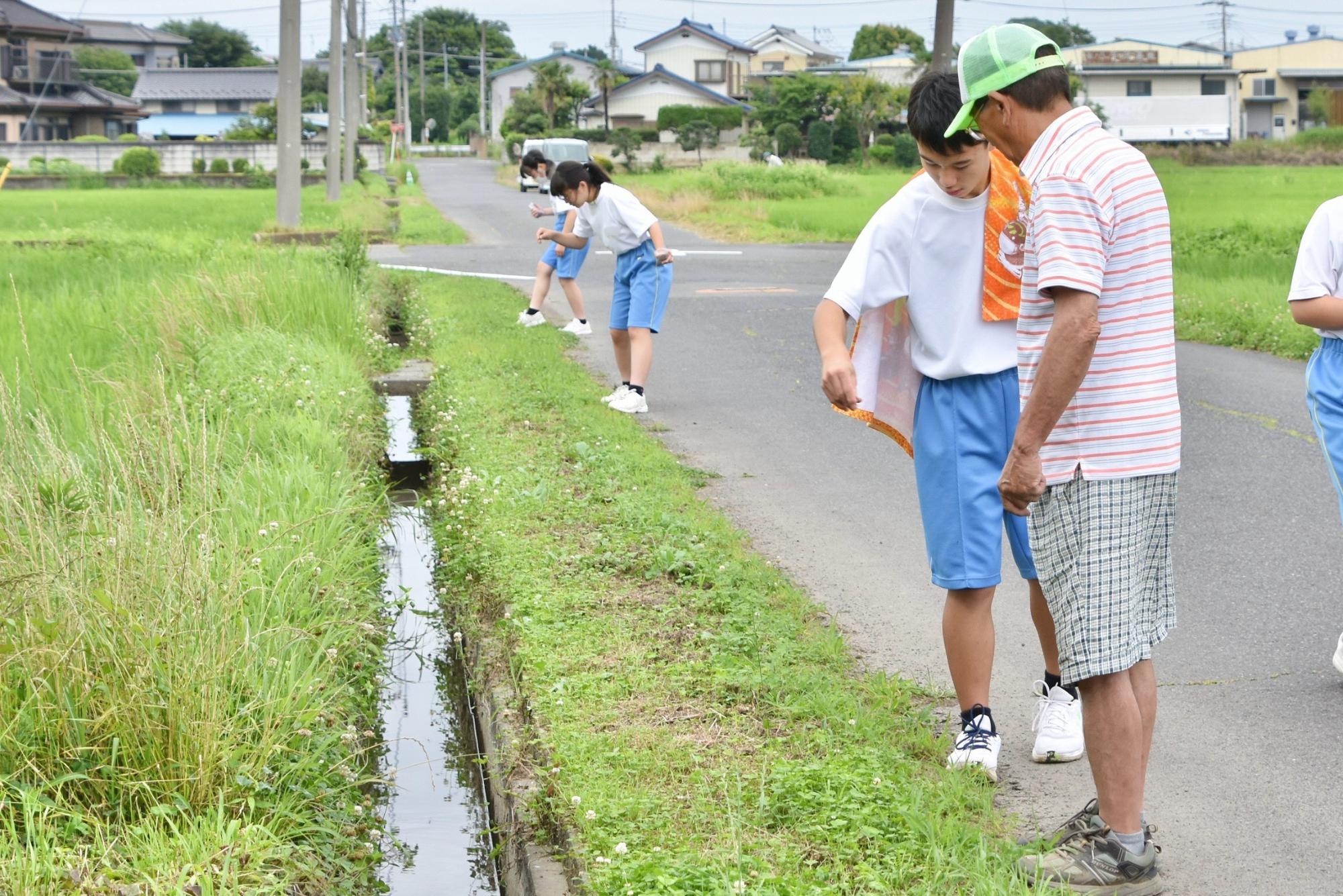組合長が種まきのやり方を伝授