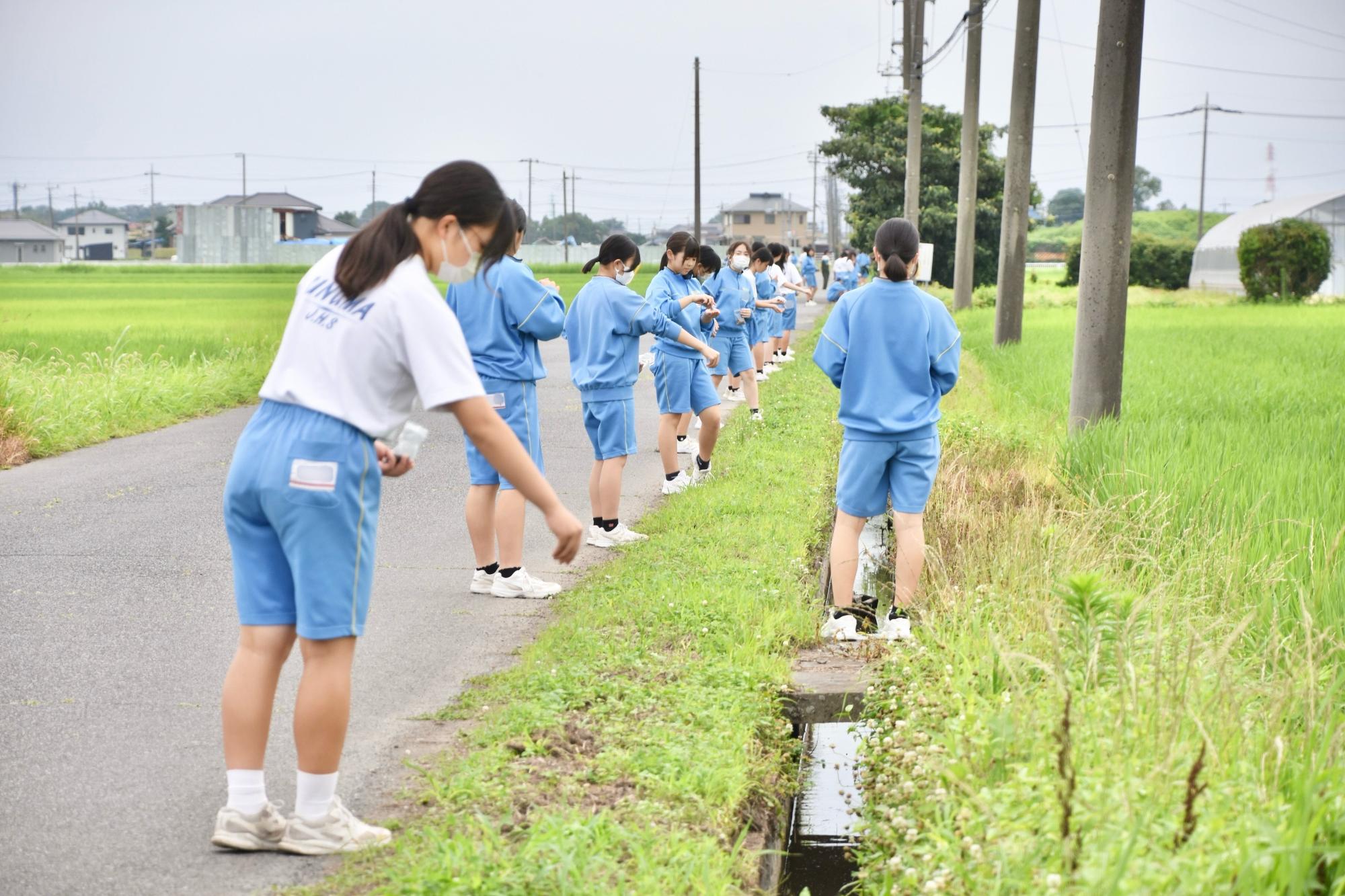一列に並んで種まきをする中学生