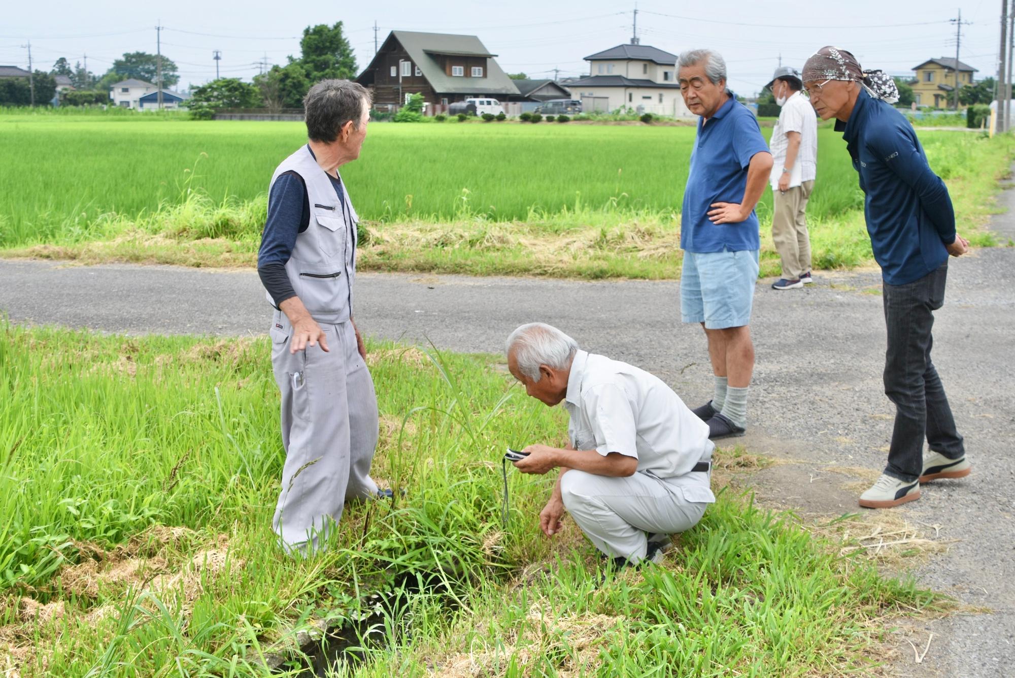 水路の点検