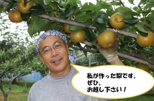 「私が作った梨です。ぜひ、お越し下さい!」と書かれた吹き出しと梨を手にする生産者の写真