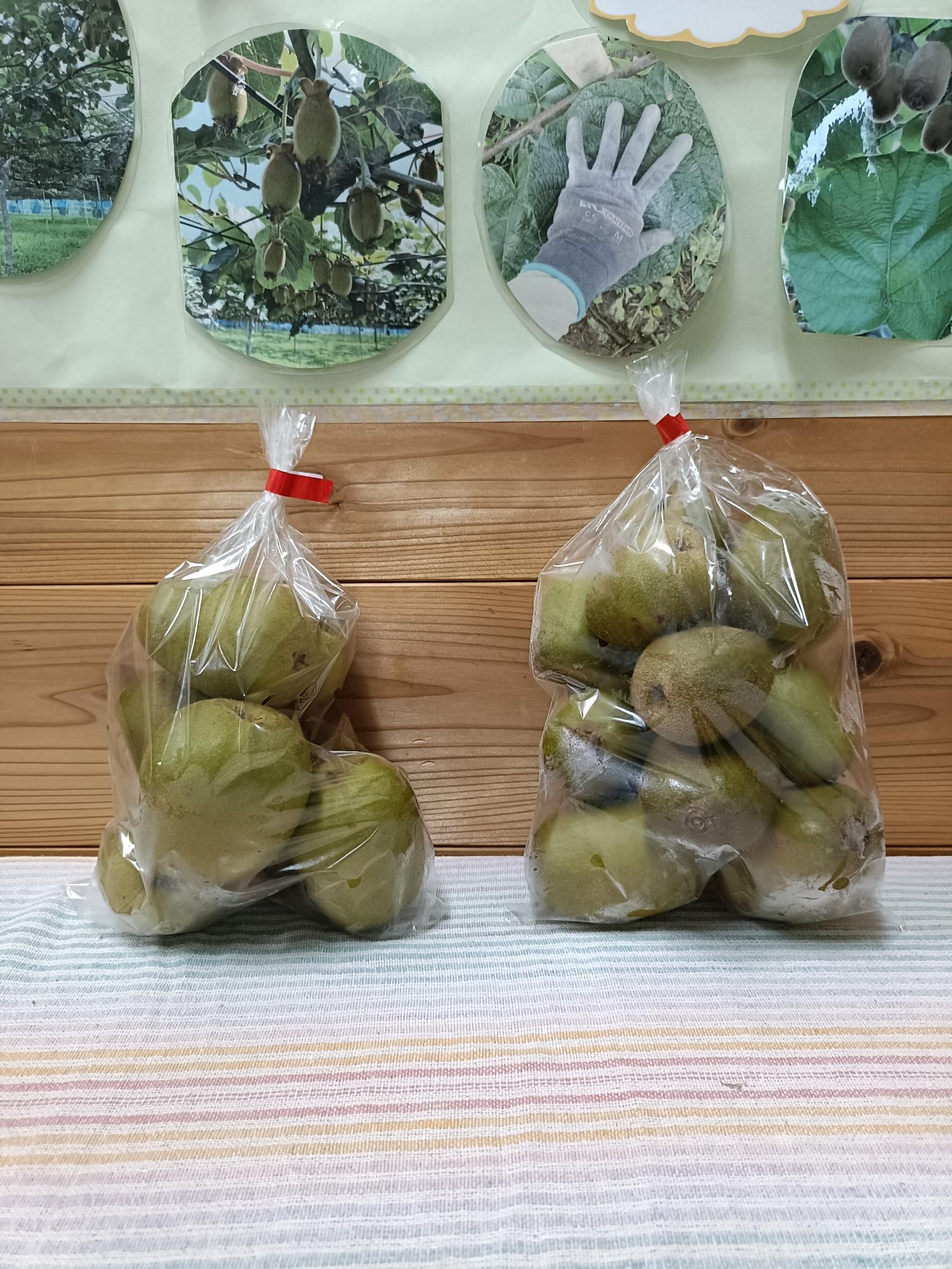 家庭用袋入