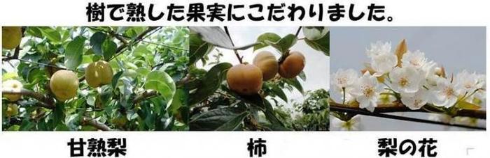 木にたくさん生っている緑の甘熟梨と、黄色く熟した柿と、白い梨の花の写真が三枚並んでいる写真