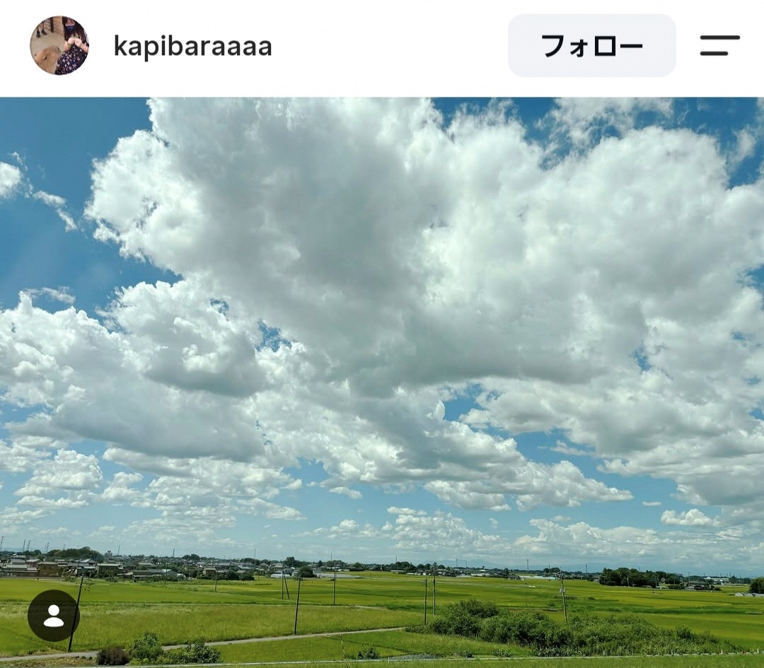 高台から青空と緑が広がる風景を撮影した写真。写真の上3分の2は雲と空が、下3分の1には田んぼや草木が写っている。