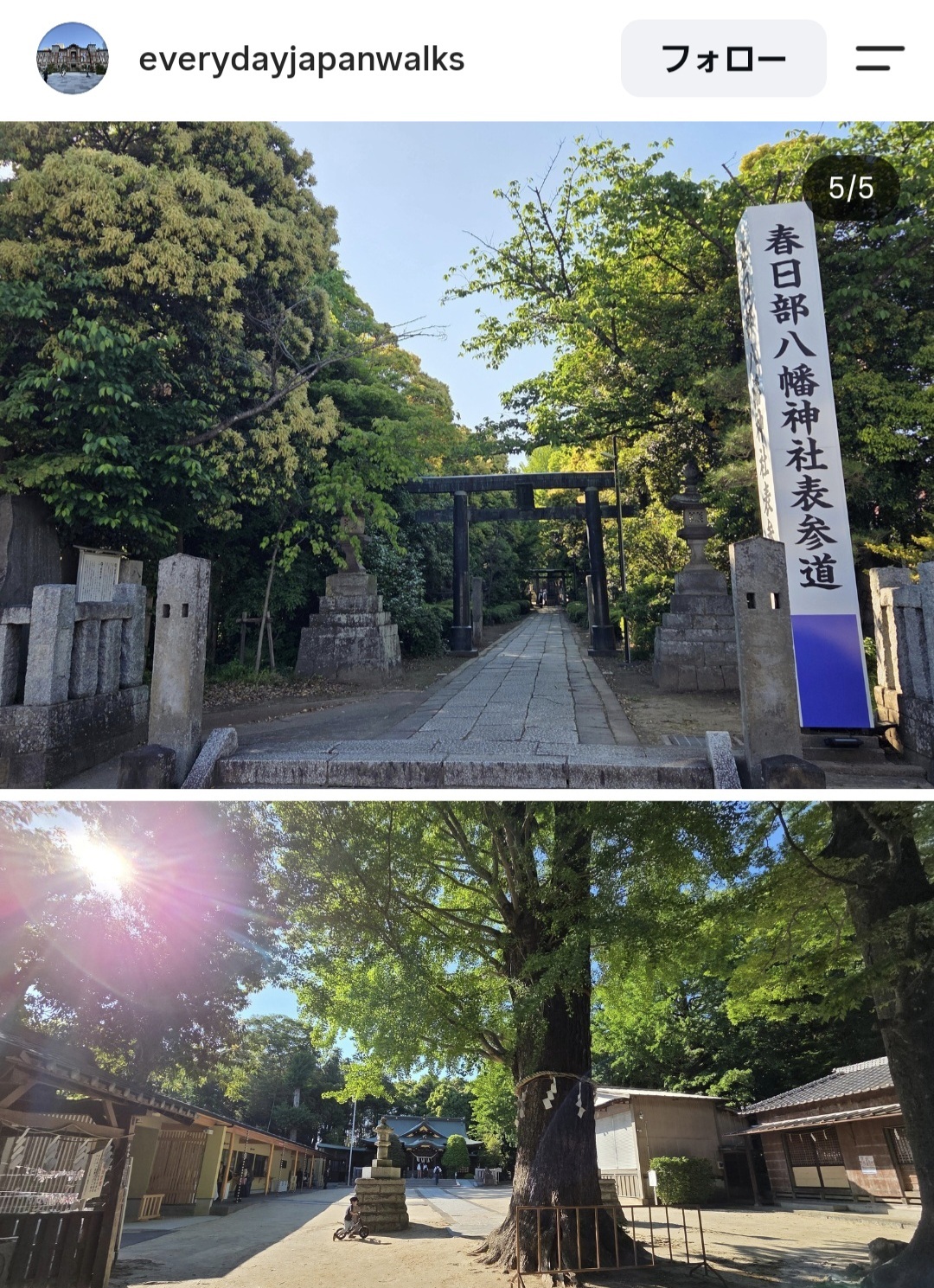 上半分に春日部八幡神社の鳥居、下半分に境内が写った写真。