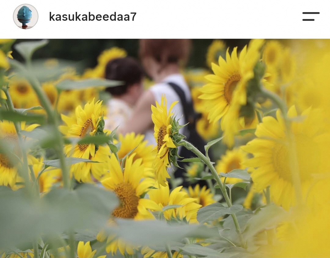 黄色のひまわりの花を前景に、小さなこどもを抱いた女性が写っている写真。