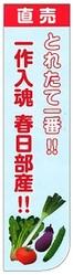 とれたて一番!!一作入魂 春日部産!!
