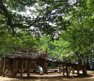 緑の木々の中に円形の大きな建築物がある、アスレチック広場の写真