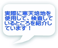 実際に寒天培地を使用して、検査しているところを紹介しています!