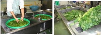 野菜処理画像