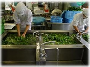 野菜を洗う様子