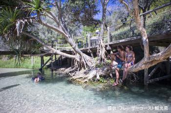 フレーザー島で最大の淡水水流であるエリ・クリークの写真。岸に沿って作られたデッキの下で観光客たちがエリ・クリークに足を漬けたり浮き輪を浮かべて楽しんでいる。