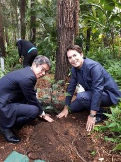 ハービーベイ植物園にて、記念樹の苗木を植える種村副市長とシーモア市長の写真。2人とも苗木を挟むようにしゃがみ、苗木の根元の土を押さえている。
