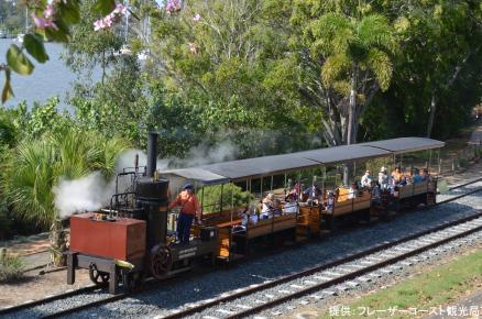 小型蒸気機関車であるメアリー・アン号が屋根しかない開放型小型客車3両を引いて走っている写真。機関車のボイラーは人間より少し高い程度の大きさの直立式である。