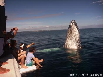 海面から頭を出したザトウクジラを間近で眺めたり撮影している観光客たちの写真
