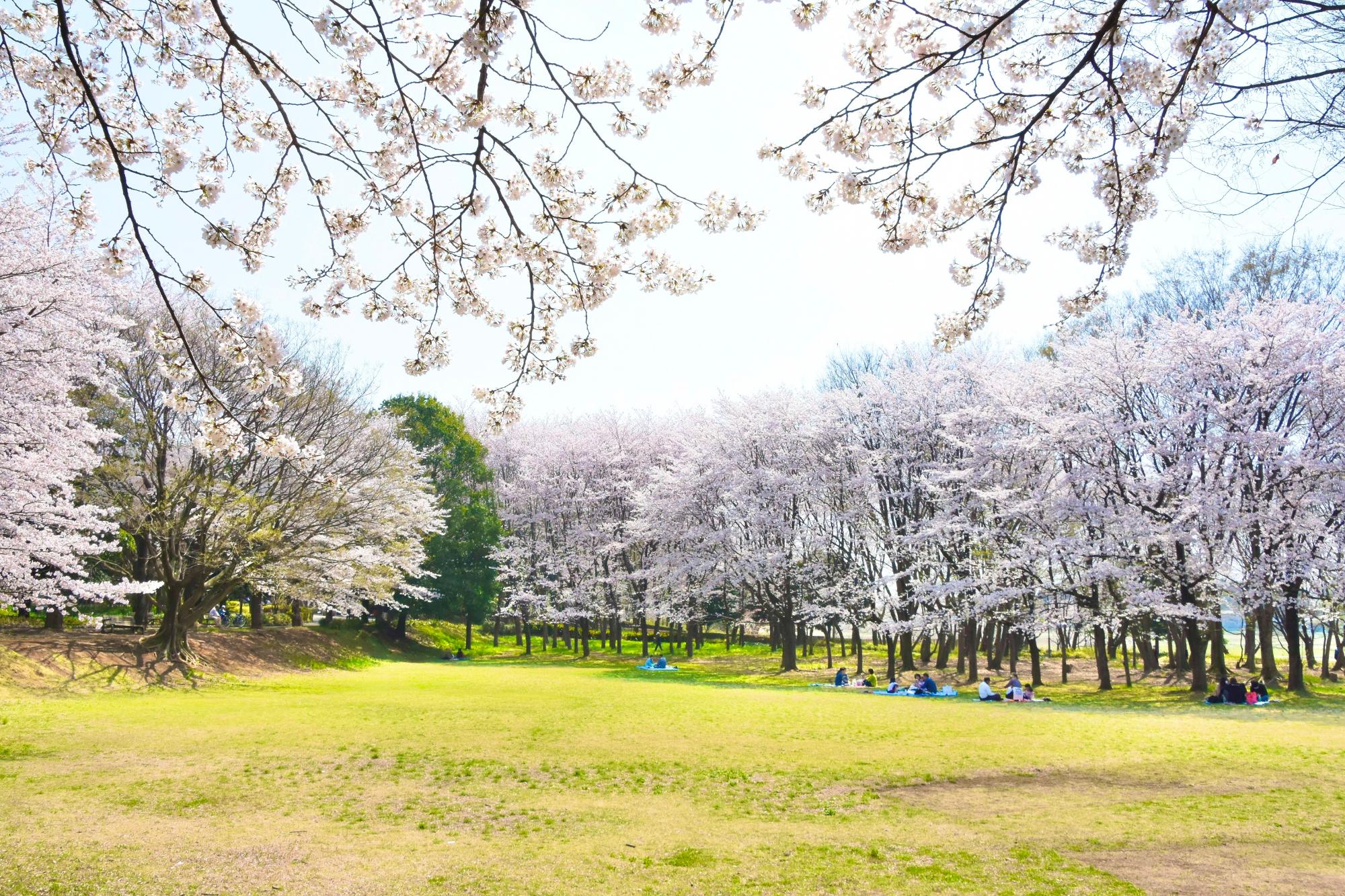 内牧公園