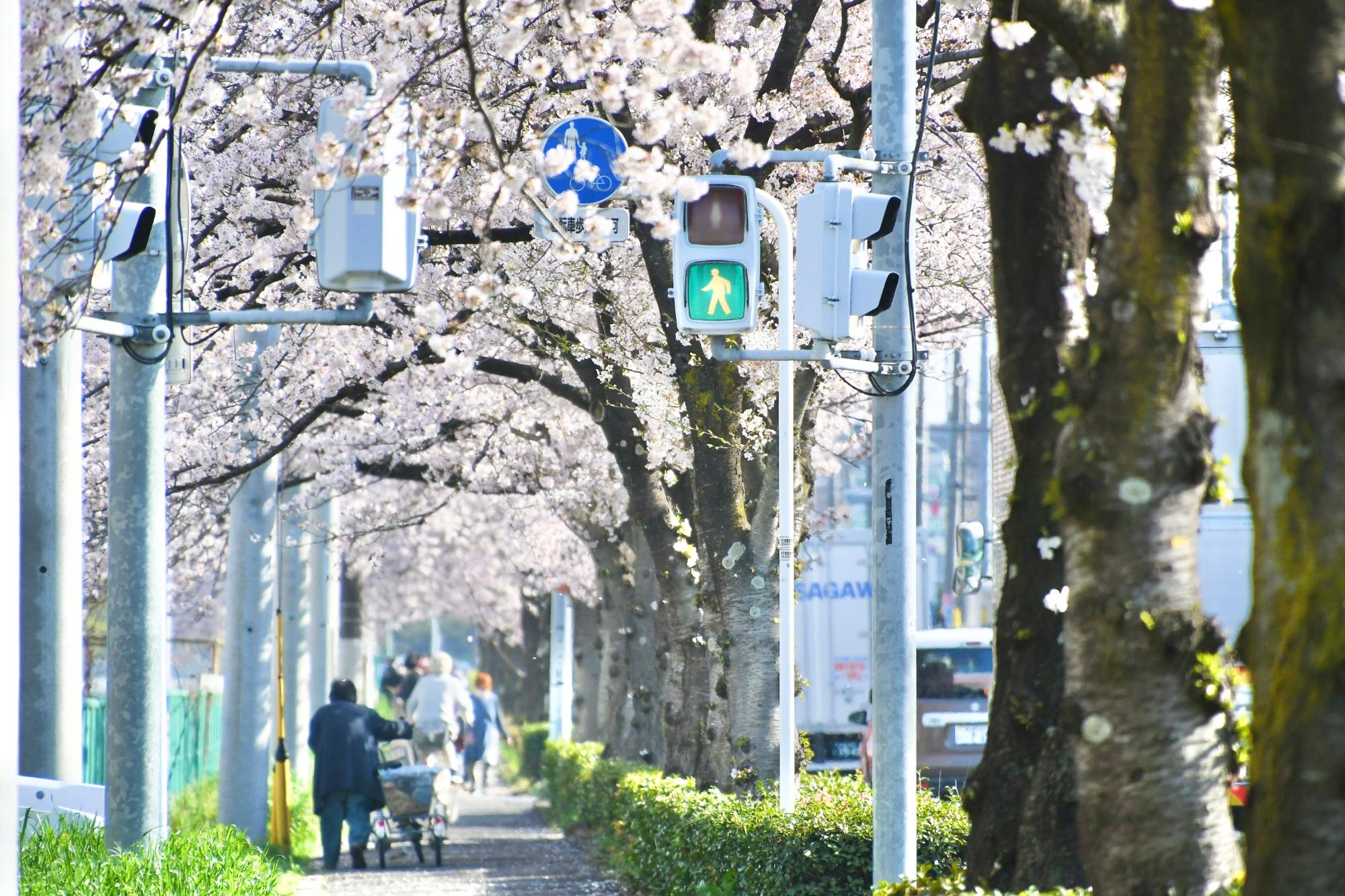 会之堀川沿い・一ノ割上根公園