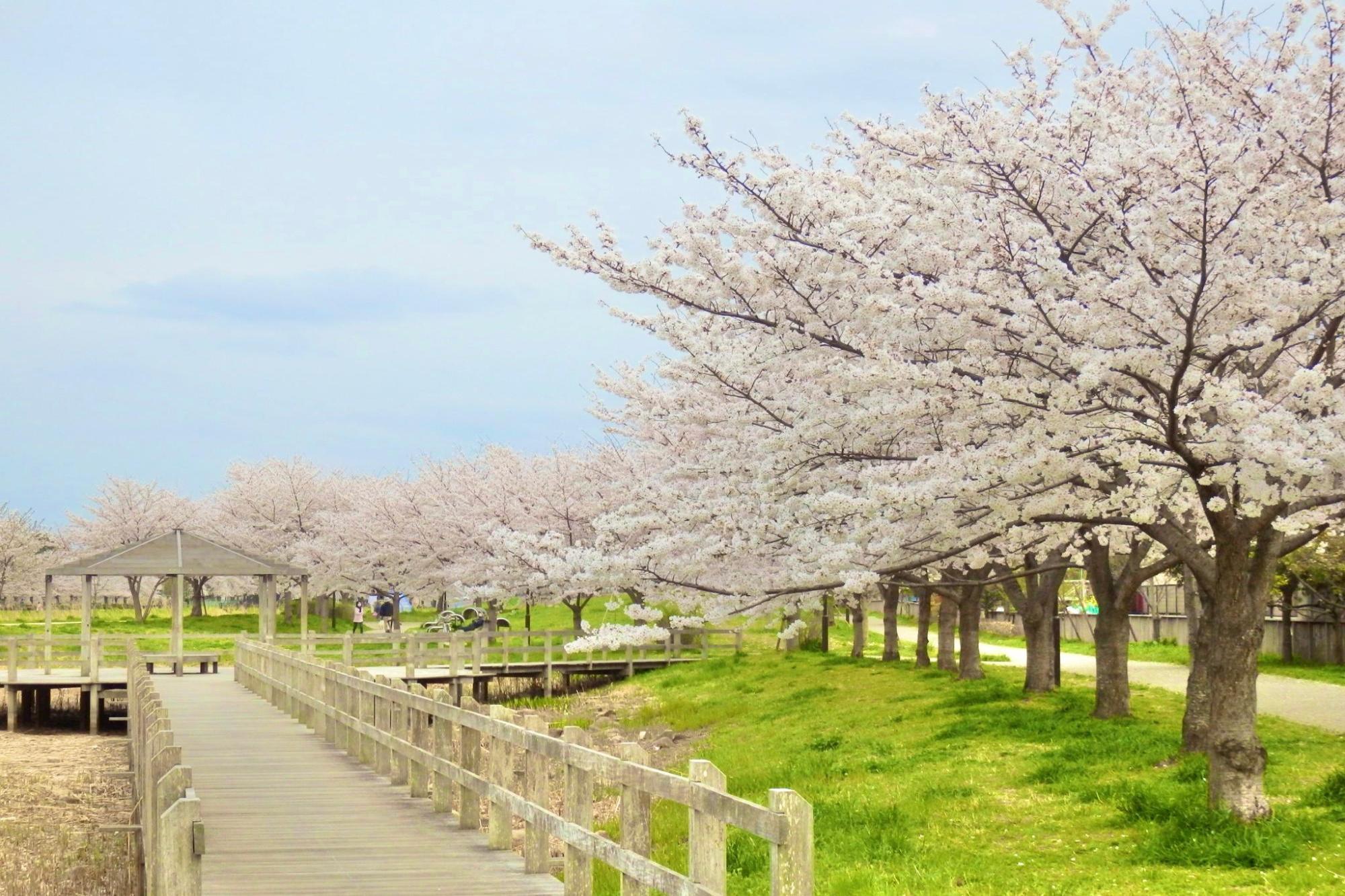 川久保公園