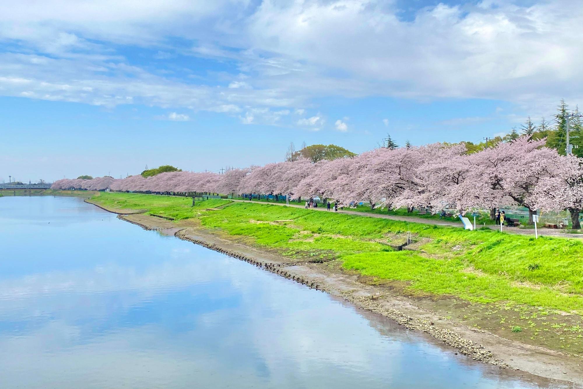 牛島古川公園・藤塚三本木公園