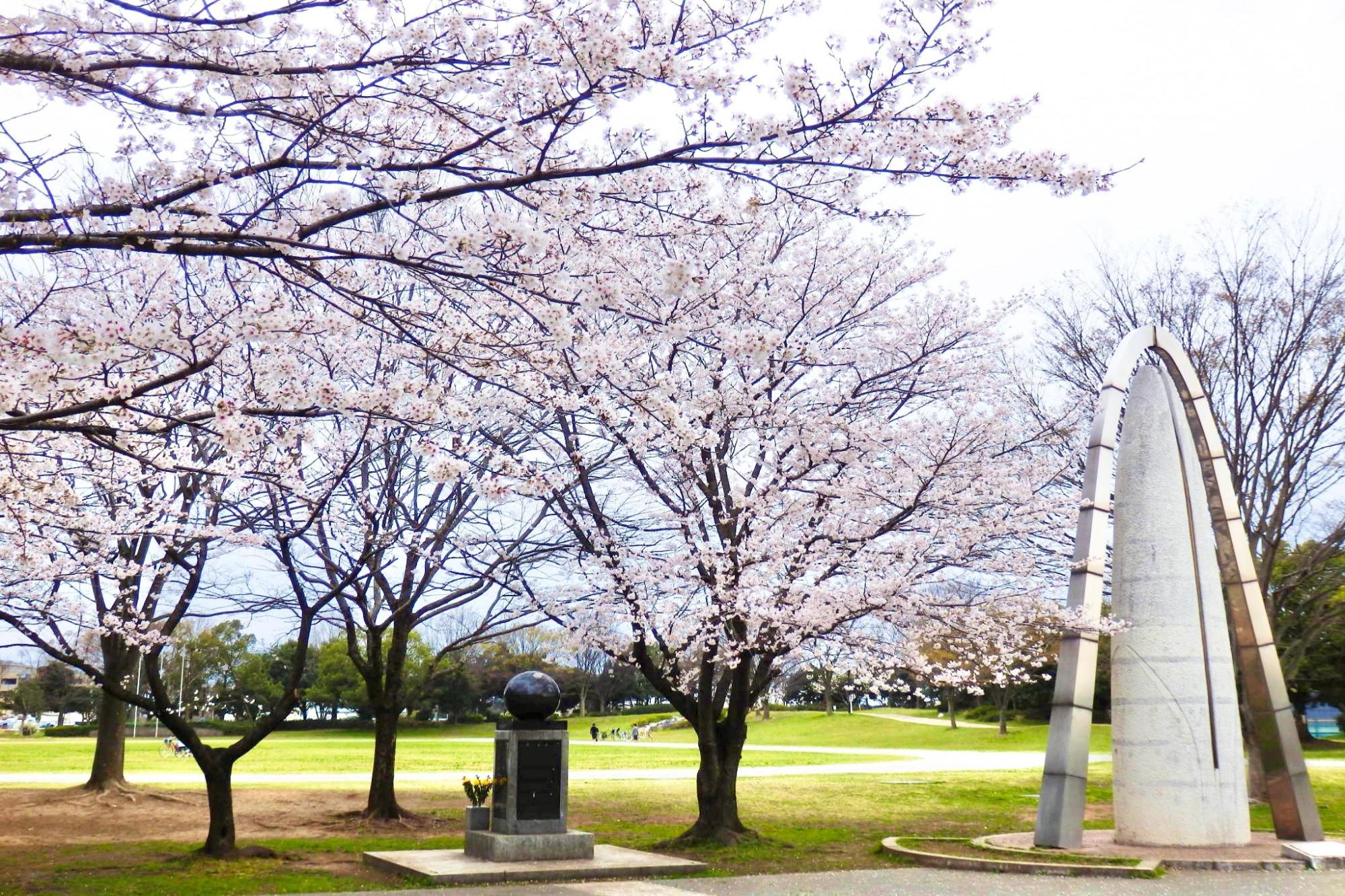 庄和総合公園