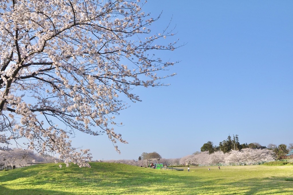 東中野ふれあい公園