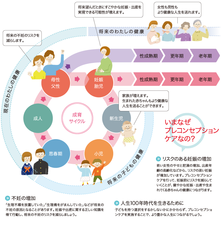プレコンセプションケアのサイクルについて