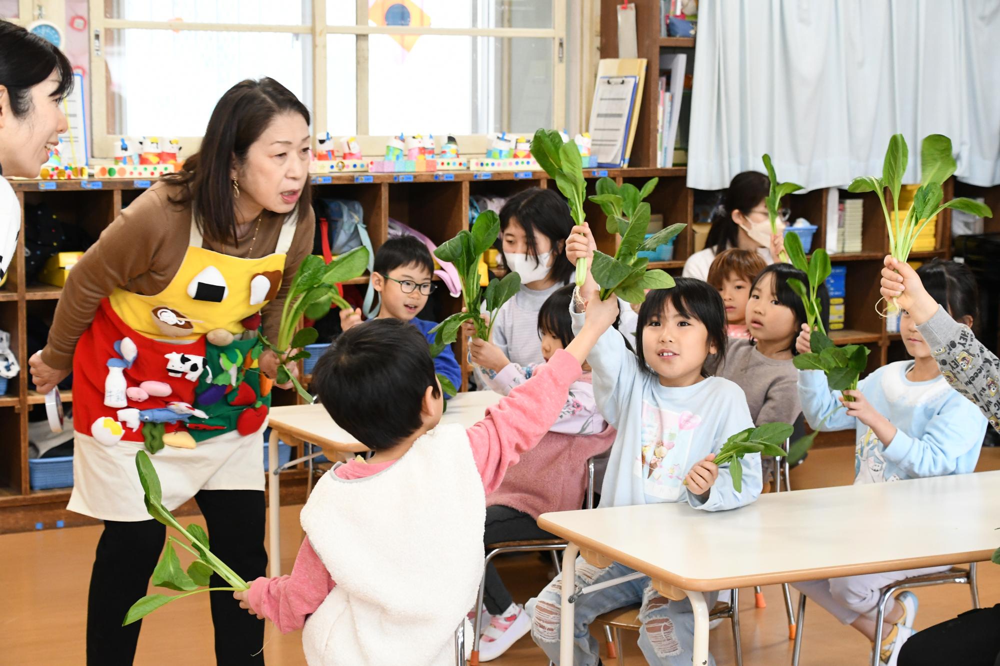 ほうれん草と小松菜の違い