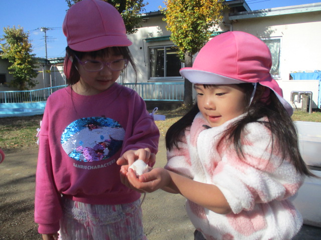 ハツカネズミとふれあう様子