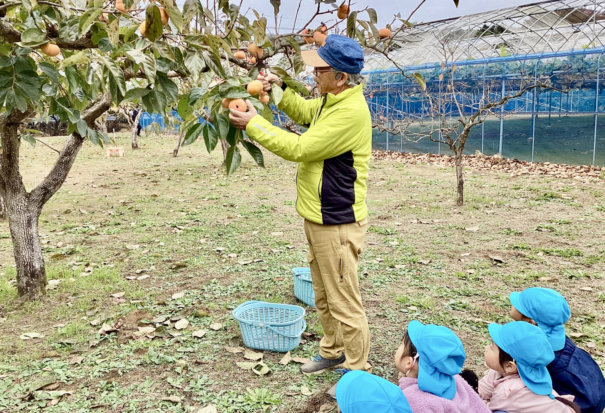 柿の収穫の仕方の説明を聞く子ども達です