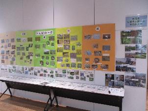 令和5年度かすかべ環境フェアで掲示板に貼られた埼玉県生態系保護協会春日部支部が作成した展示物を撮影した写真