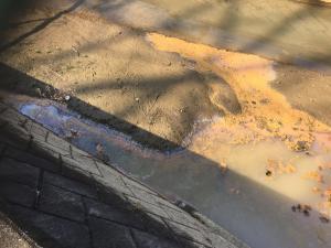 赤褐色の沈殿物が発生している水路の写真