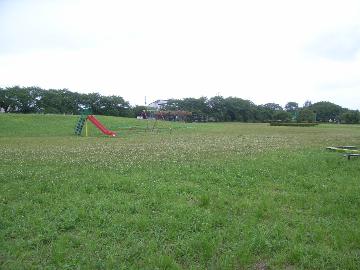 広い芝生のある広場に、遊具が置かれている東中野ふれあい公園の写真