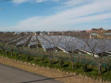 地面にソーラーパネルがずらりと並べられている、春日部ソーラーウェイ（太陽光発電施設）の写真