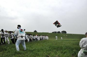 白装束に身を包んだ参加者たちが大凧を揚げている様子の写真