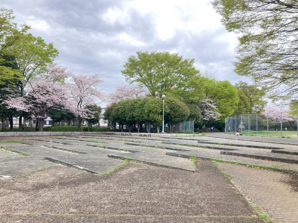 石畳と桜の写真