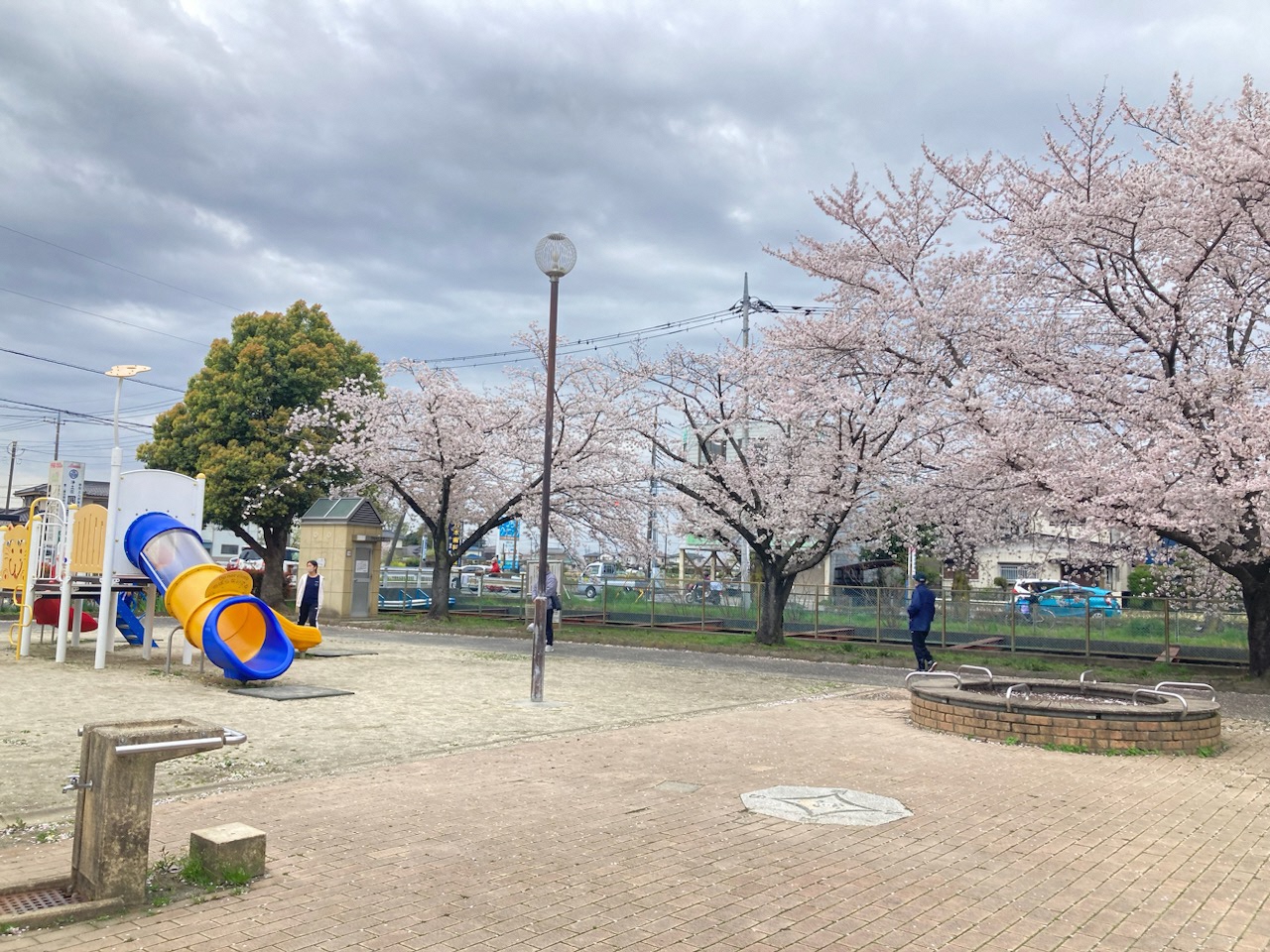 桜と遊具の写真