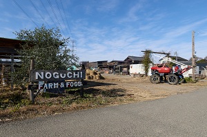 野口農園の外観