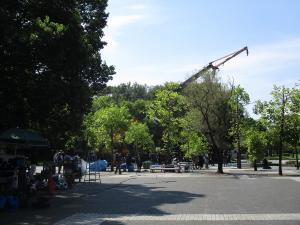 庄和総合公園でクレーン車を使用し撮影をする様子の写真