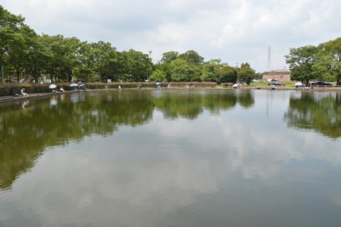 森に囲まれた広い池の薬師沼親水公園の写真