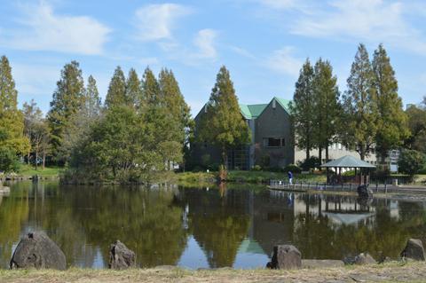庄和総合公園の修景池の奥に庄和総合支所がたたずんでいる写真