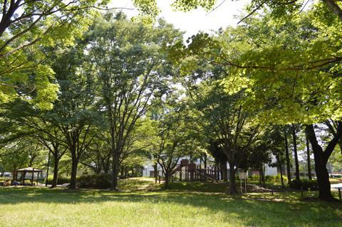 庄和総合公園の生い茂る木々の写真