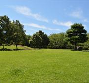 青空の下綺麗に刈り込まれた芝生と立木が並ぶ一の割公園の写真