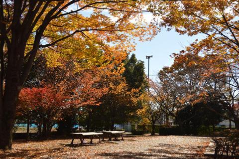 紅葉に色づく旧倉松公園の写真